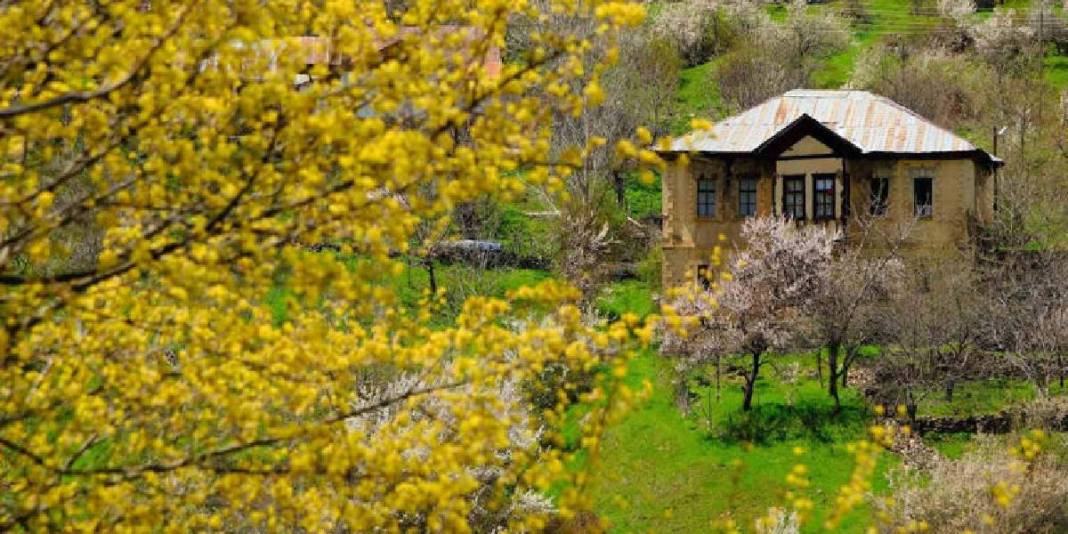 2 zıt beyaz aynı tepede buluştu! Gümüşhane’nin yüz yıllık mirası göz doldurdu 10